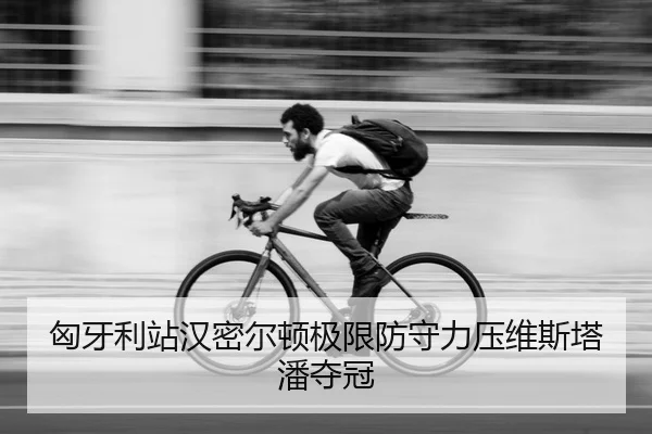 匈牙利站汉密尔顿极限防守力压维斯塔潘夺冠